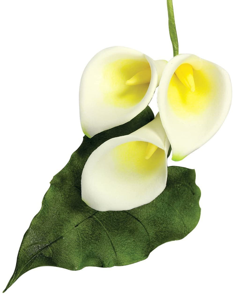 Arum Lily & Leaf Life Size Cutter